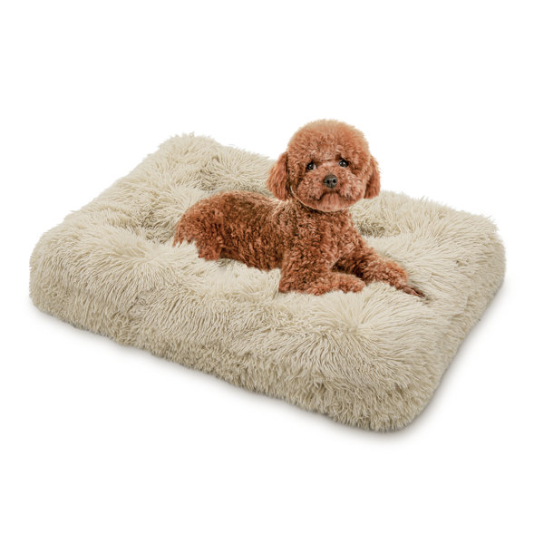 Tucker Murphy Pet™ Pet Bed Fluffy Plush Faux Fur Cat Dog Bed Rectangle Pet Seat Cushion Soft